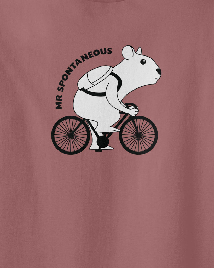 The graphic of a hamster ridding his bike and written text of "Mr Spontaneous"