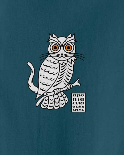 Owlkitty tshirt in Aponia Store with the graphic of an owl whose head is a cat. text: "Aponia curious and wise"