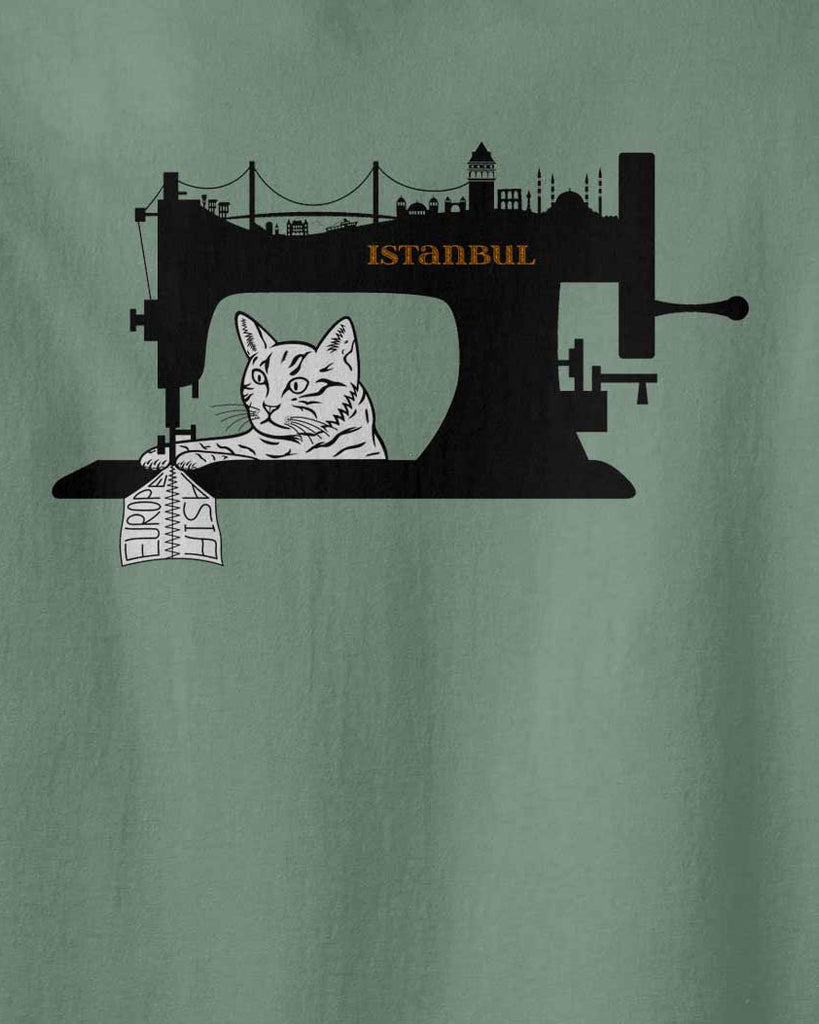 Istanbul cat sewing machine, the cat is sewing Asia to Europe  