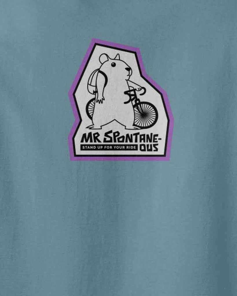 kids tshirt, hamster tshirt, a blue tshirt with graphic of a hamster standing next to his bike with the text Mr spontaneous, stand up for your ride, Aponia Store